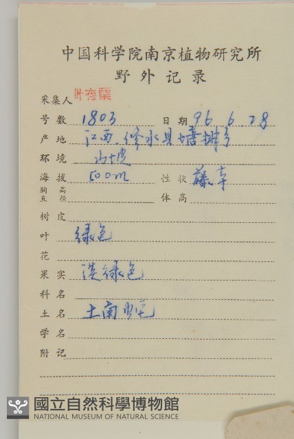 哥蘭葉藏品圖，第2張