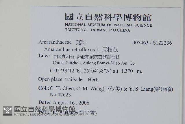 反枝莧藏品圖，第2張