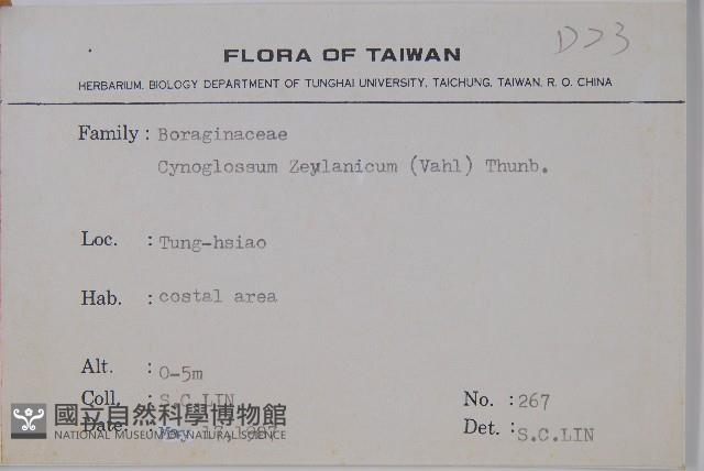 琉璃草藏品圖，第2張