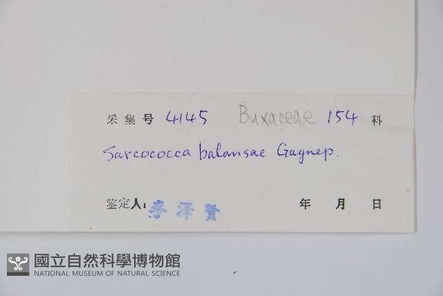 登錄號:S033236藏品圖，第2張