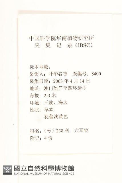 六角草藏品圖，第2張