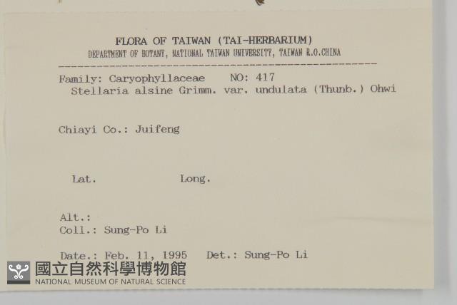 天蓬草、雀舌草藏品圖，第2張