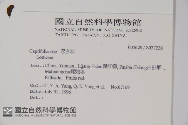 登錄號:S037236藏品圖，第2張