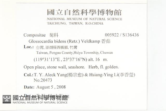 香茹藏品圖，第2張