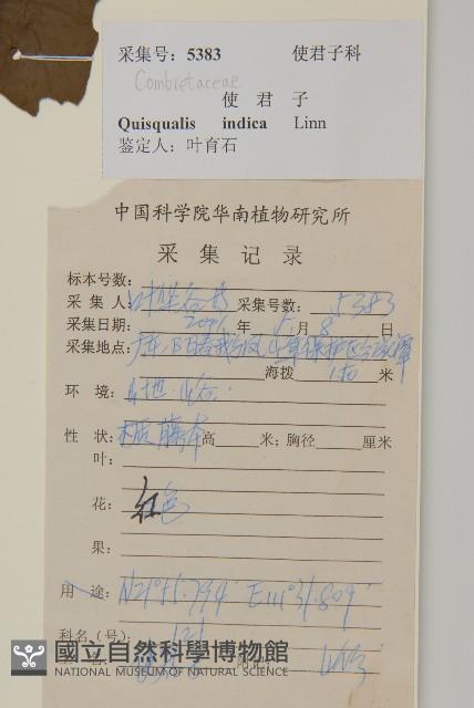 使君子藏品圖，第2張
