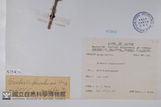 臺灣小蘗藏品圖，第2張