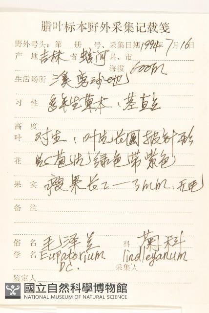 林氏澤蘭藏品圖，第2張