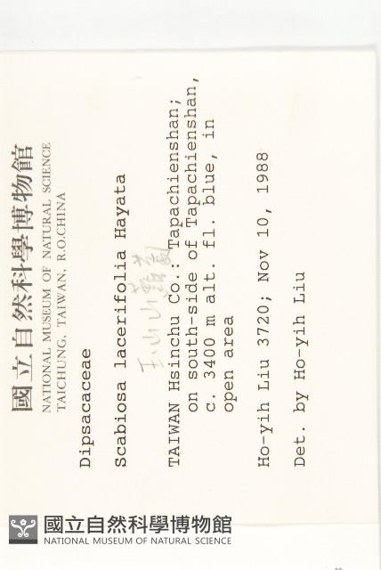 玉山山蘿蔔藏品圖，第2張