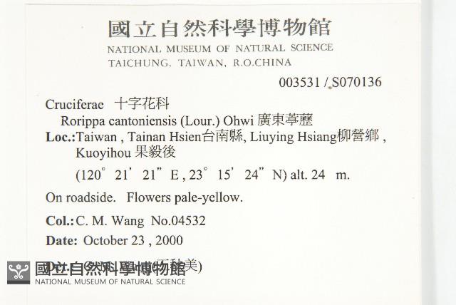 廣東葶藶藏品圖，第2張