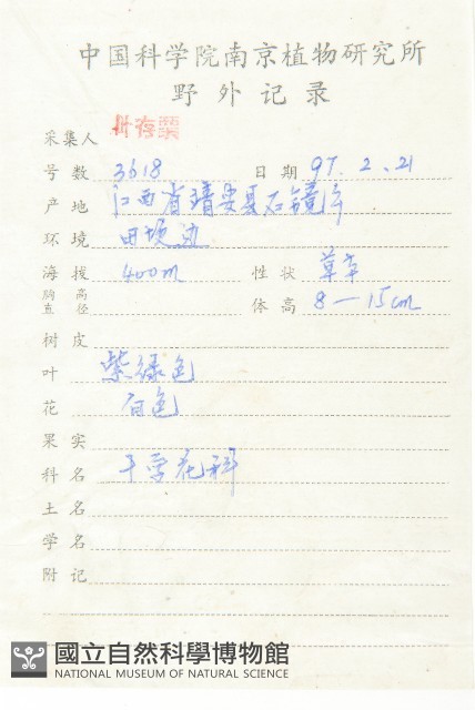 碎米薺藏品圖，第2張