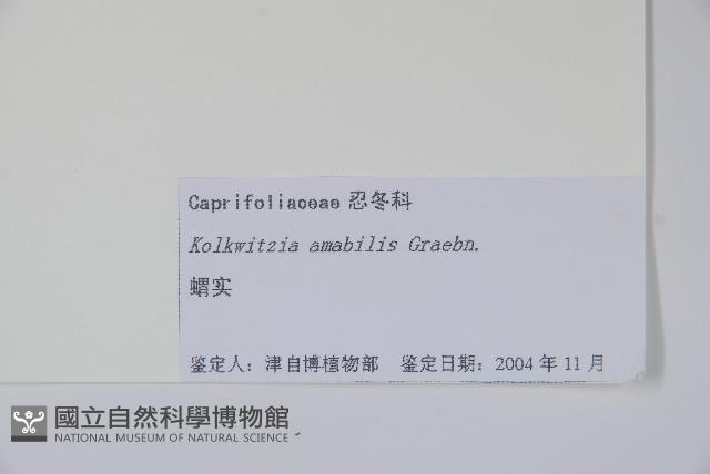 蝟實藏品圖，第2張