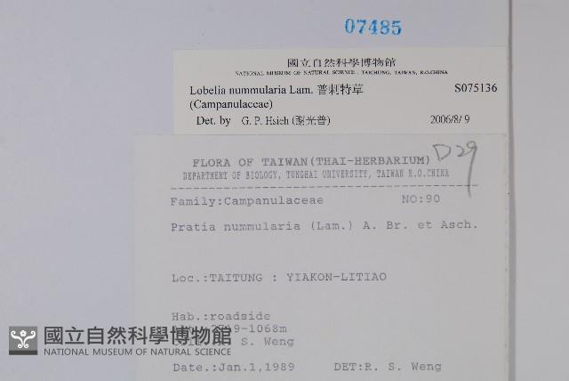 普刺特草藏品圖，第2張