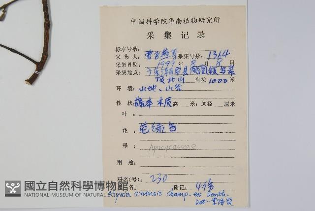 中國念珠藤藏品圖，第2張