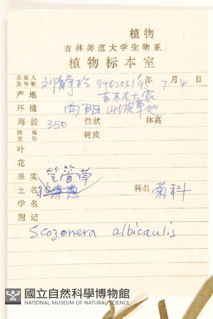 芼管草藏品圖，第2張