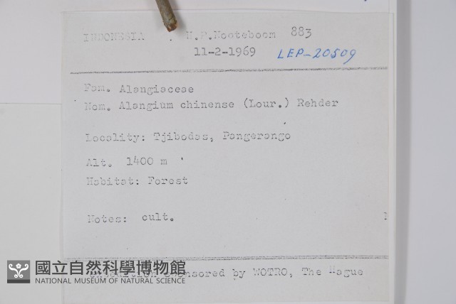 八角楓藏品圖，第2張