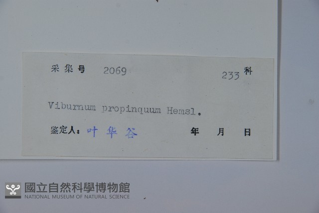 高山莢迷藏品圖，第2張