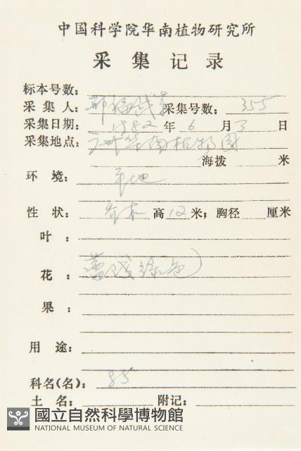 大花五椏果藏品圖，第2張