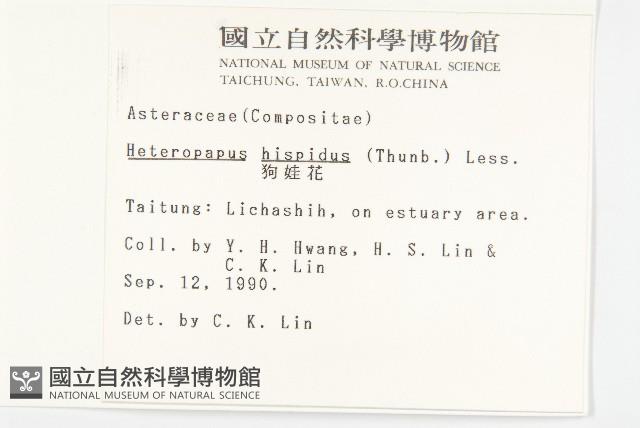 狗娃花藏品圖，第2張