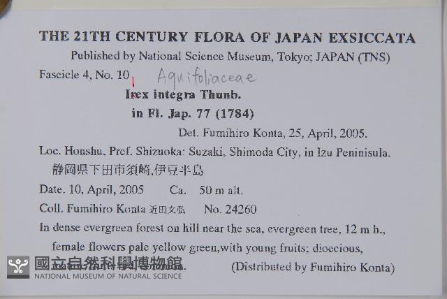 全緣葉冬青藏品圖，第2張