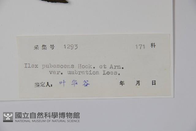 登錄號:S044336藏品圖，第2張