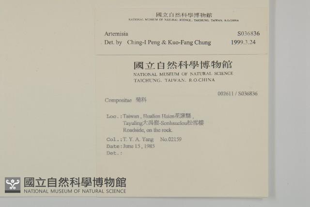 登錄號:S036836藏品圖，第2張