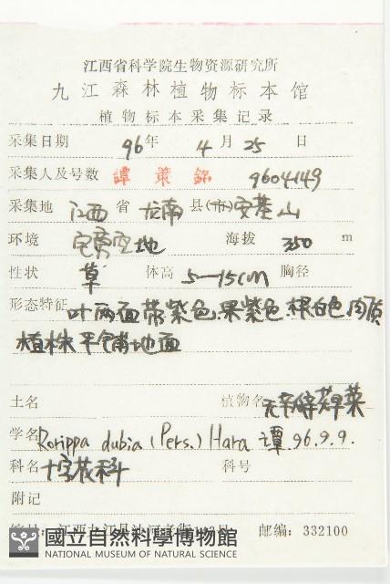 小葶藶藏品圖，第2張