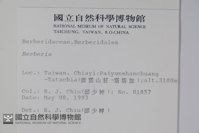 臺灣小蘗藏品圖，第2張