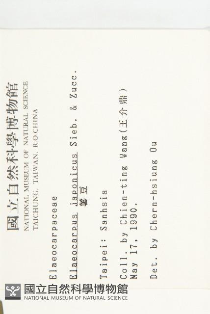 薯豆藏品圖，第2張