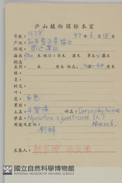 牛繁縷藏品圖，第2張