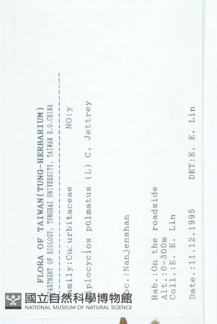 雙輪瓜藏品圖，第2張