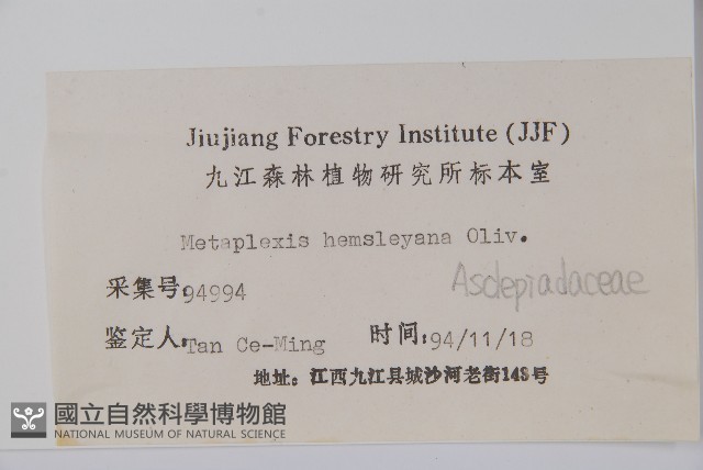 華蘿藦、奶漿藤藏品圖，第2張