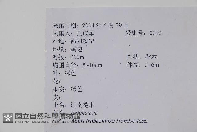 江南榿木藏品圖，第2張