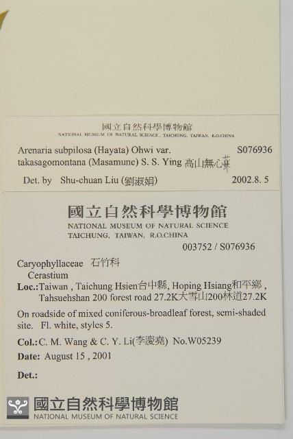 高山無心菜藏品圖，第5張