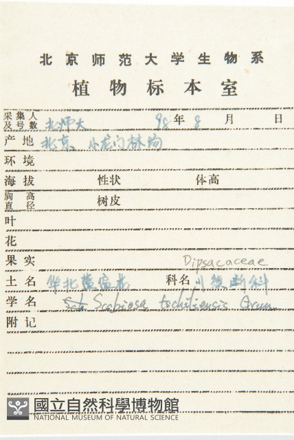 華北藍盆花藏品圖，第2張