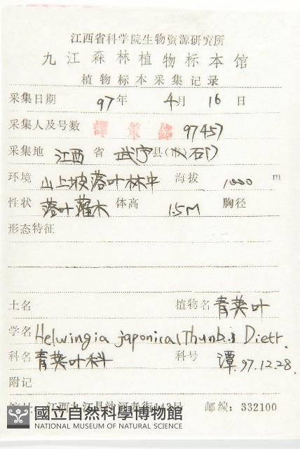 青莢葉藏品圖，第2張