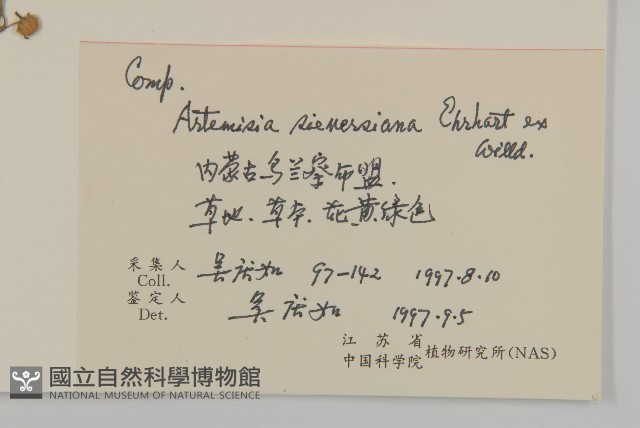 大耔蒿藏品圖，第2張