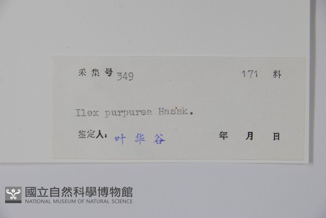 冬青藏品圖，第2張