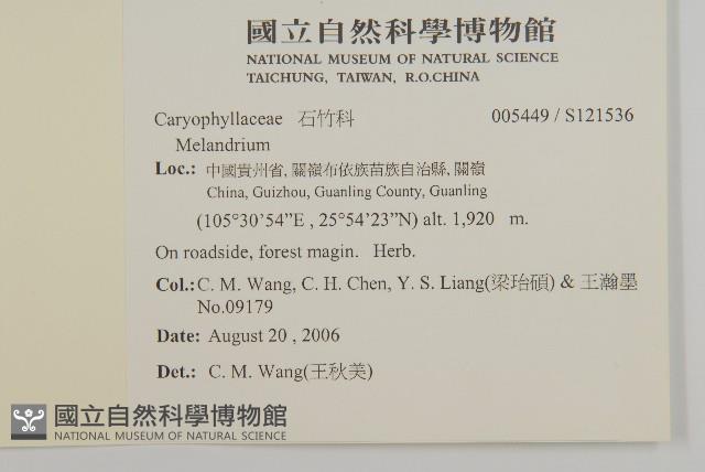 登錄號:S121536藏品圖，第2張