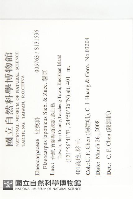 薯豆藏品圖，第2張