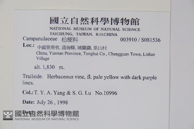 登錄號:S081536藏品圖，第2張