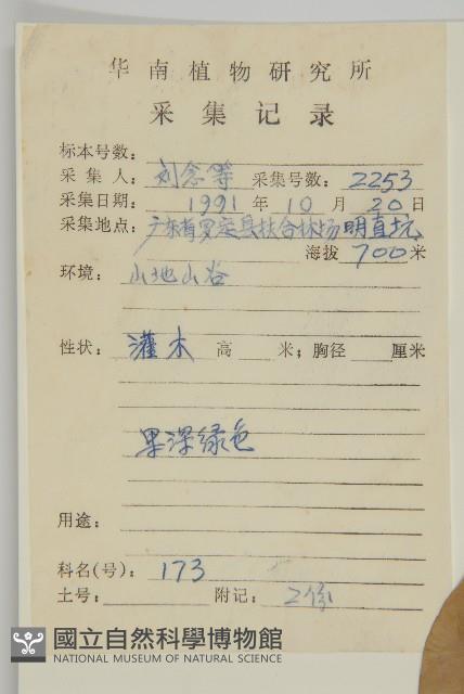 大丁黃藏品圖，第2張