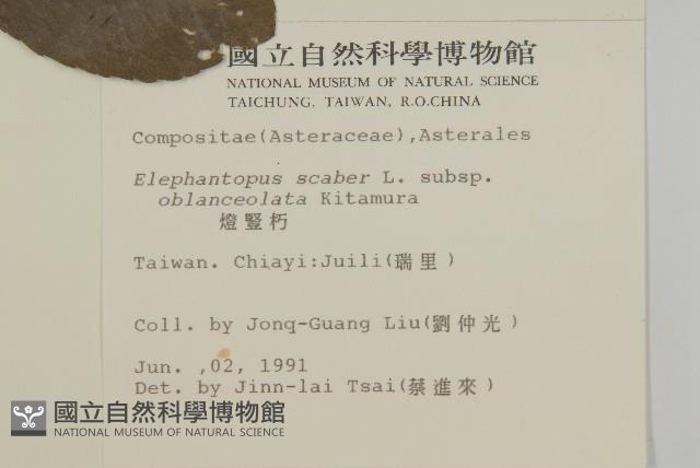 燈豎朽藏品圖，第2張