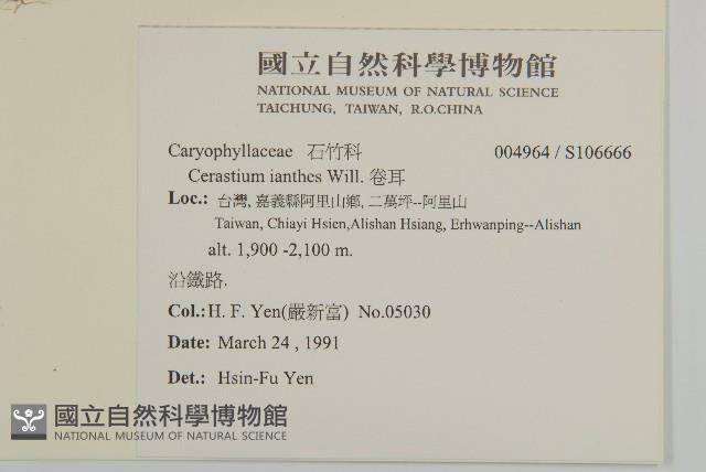 卷耳藏品圖，第2張