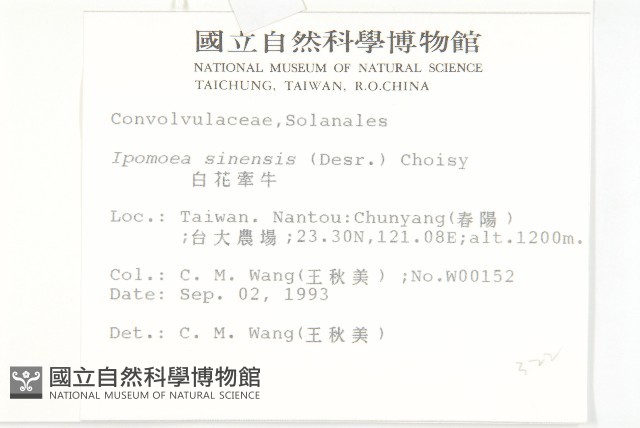 白花牽牛藏品圖，第2張