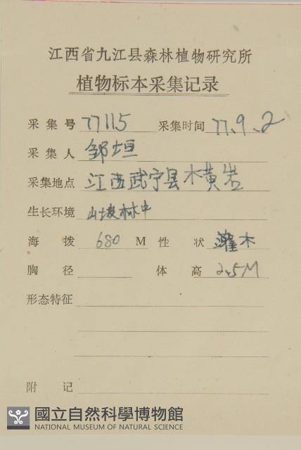 大果衛矛藏品圖，第2張