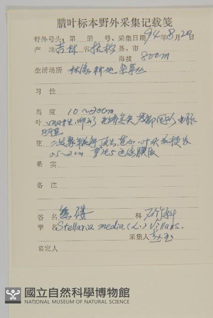 繁縷藏品圖，第2張