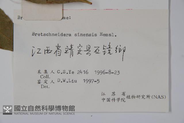 鐘萼木藏品圖，第2張