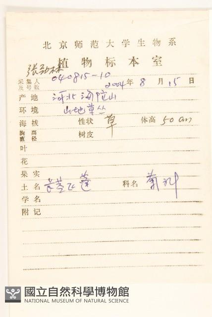 長莖非蓬藏品圖，第2張