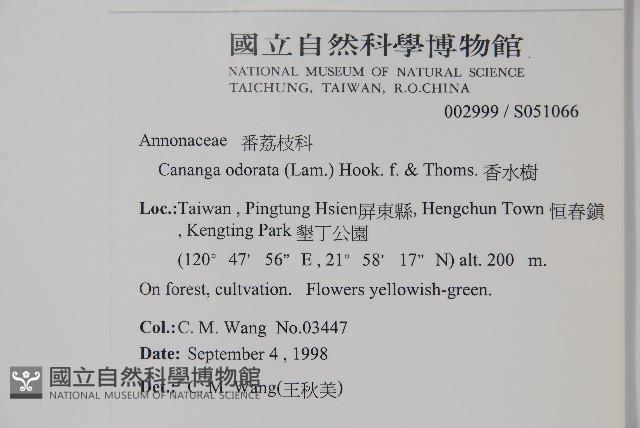 香水樹藏品圖，第2張