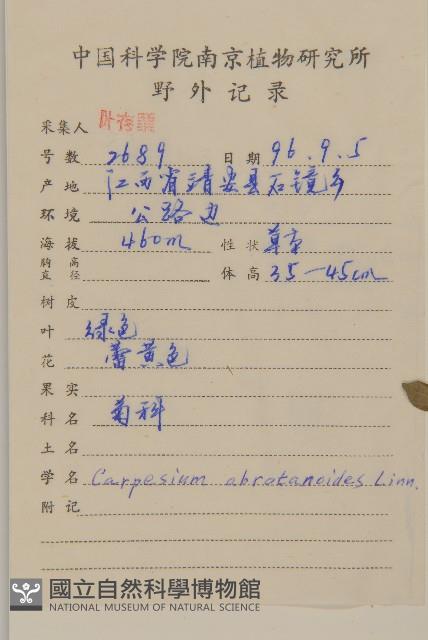 天名精藏品圖，第2張